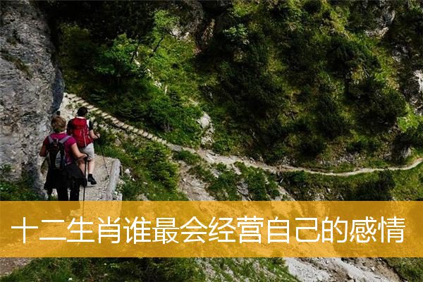 十二生肖谁最会经营自己的感情