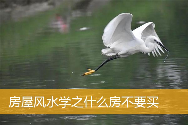 房屋风水学之什么房不要买