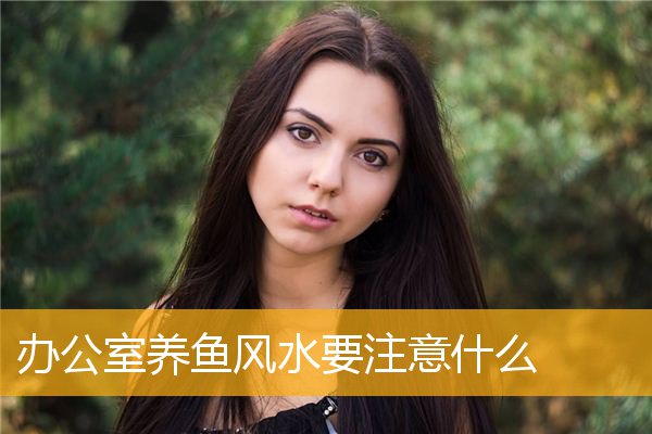 办公室养鱼风水要注意什么
