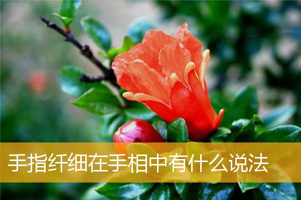 手指纤细在手相中有什么说法