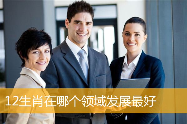 12生肖在哪个领域发展最好