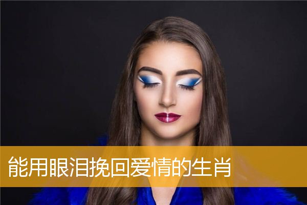 能用眼泪挽回爱情的生肖