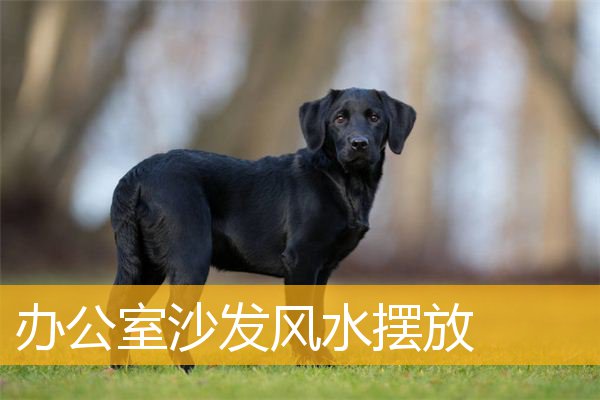 办公室沙发风水摆放