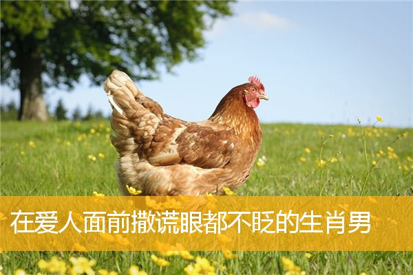 在爱人面前撒谎眼都不眨的生肖男