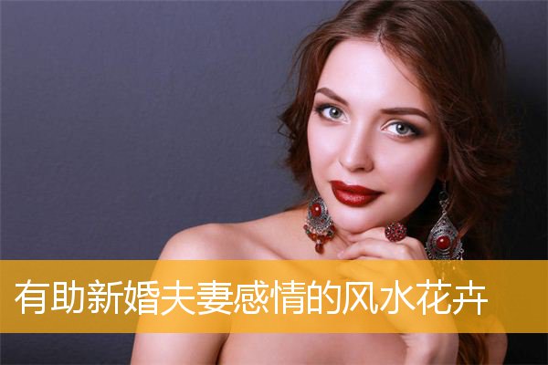 有助新婚夫妻感情的风水花卉