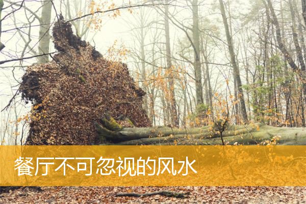 餐厅不可忽视的风水