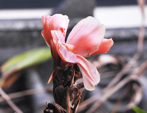 生活中的不祥之兆