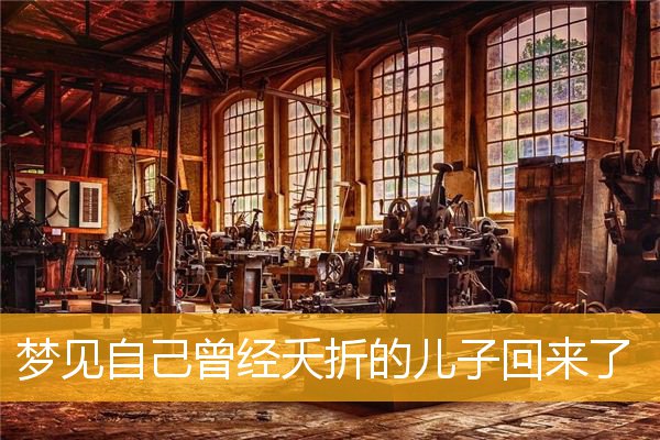 梦见自己曾经夭折的儿子回来了