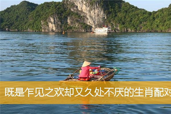 既是乍见之欢却又久处不厌的生肖配对