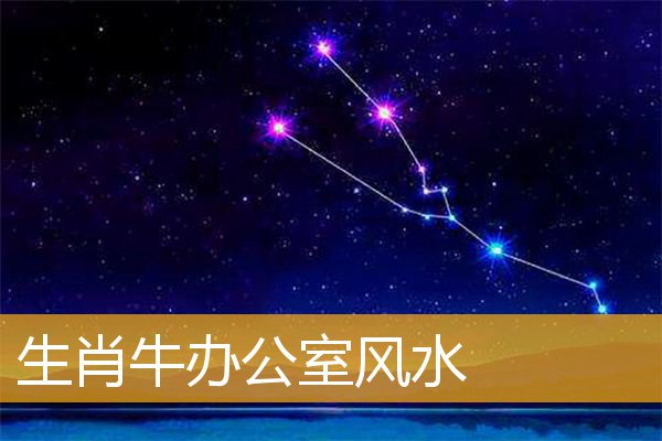 生肖牛办公室风水