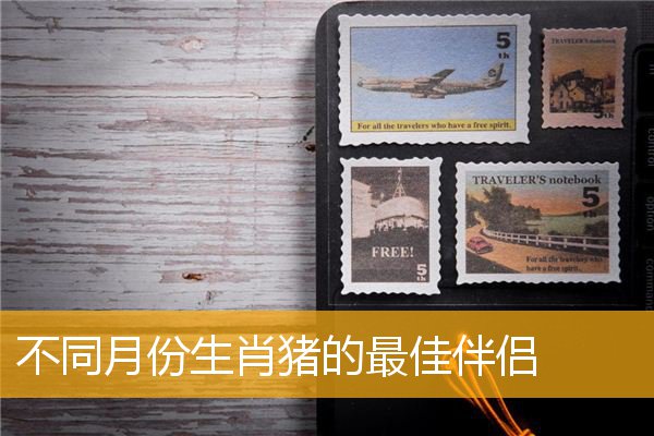 不同月份生肖猪的最佳伴侣