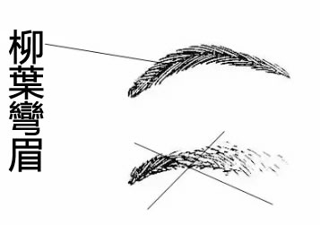 周易面相大叔：女人面相学图解，全方位了解你的命运