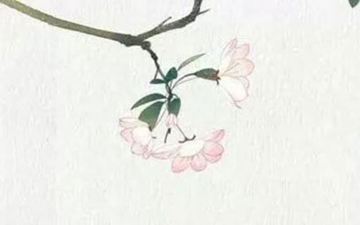 属虎开公司用什么名字好 企业起出众高端的名称