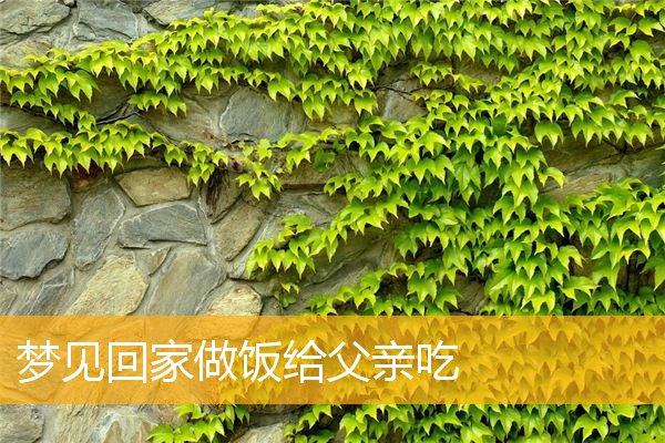 梦见回家做饭给父亲吃