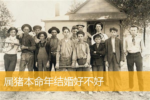 属猪本命年结婚好不好