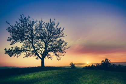 2022年农历五月二十七店铺公司可以开业吗