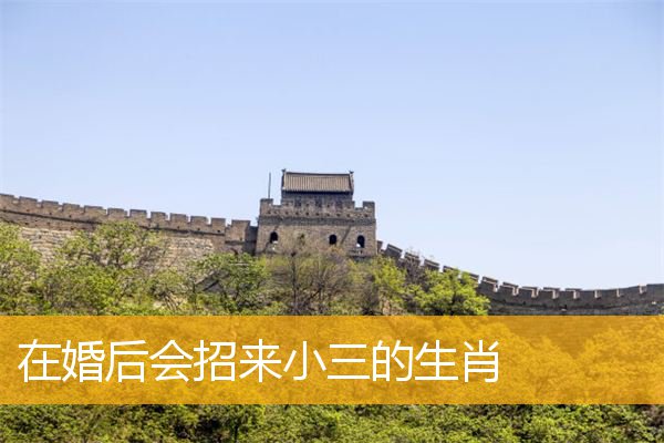 在婚后会招来小三的生肖