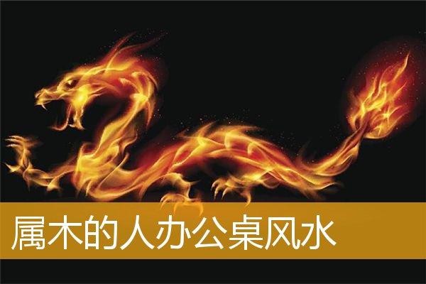 属木的人办公桌风水