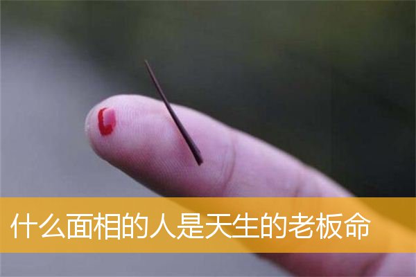 什么面相的人是天生的老板命