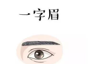 脸上的风水玄机，四种眉型让你大开好运