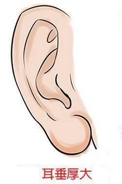 什么样的面相是福相？怎样让自己更有福相？