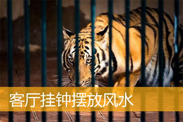 客厅挂钟摆放风水