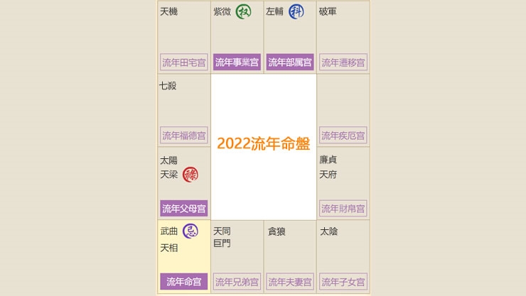2022年,紫微斗数流年命盘格局