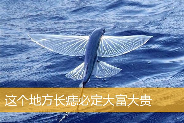 这个地方长痣必定大富大贵