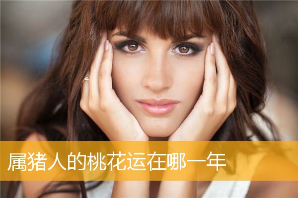 属猪人的桃花运在哪一年
