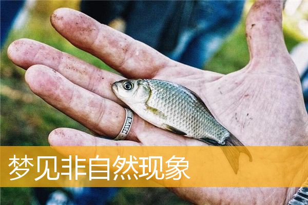 梦见非自然现象