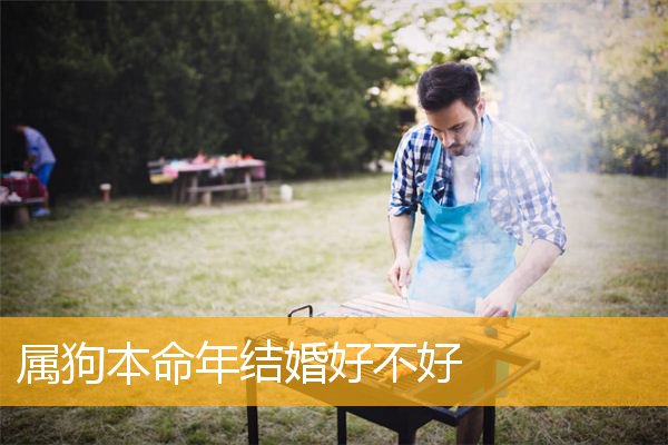 属狗本命年结婚好不好