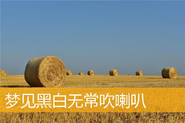 梦见黑白无常吹喇叭