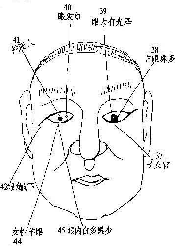 阅人三十六术之一：眼睛