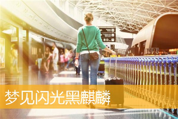 梦见闪光黑麒麟