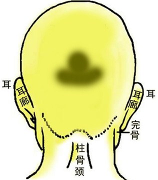 如何分清骨相秀还是浊