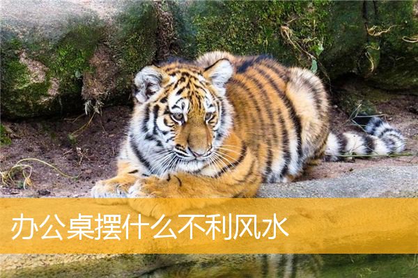 办公桌摆什么不利风水