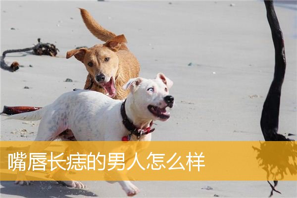 嘴唇长痣的男人怎么样