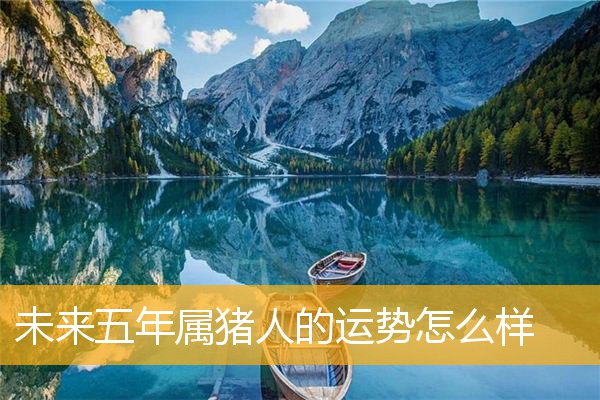 未来五年属猪人的运势怎么样