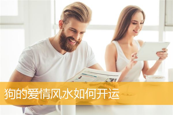 狗的爱情风水如何开运