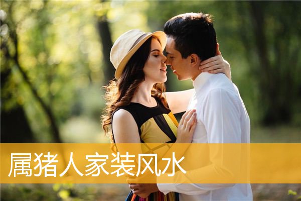 属猪人家装风水