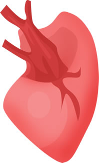 从相学特征看疾病,早知道早预防