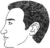 十六种鼻子面相图文分析，看看你财运如何？