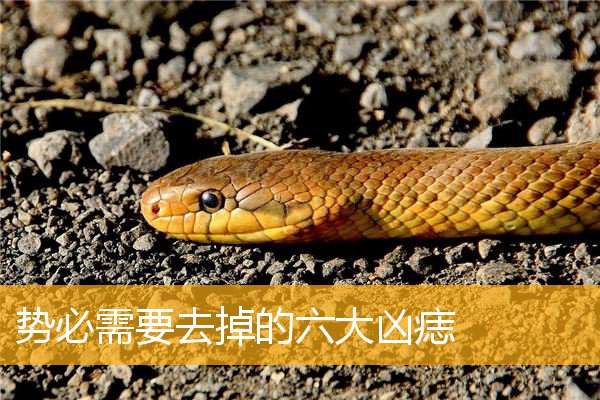 势必需要去掉的六大凶痣