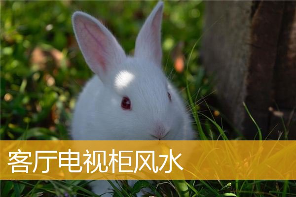 客厅电视柜风水