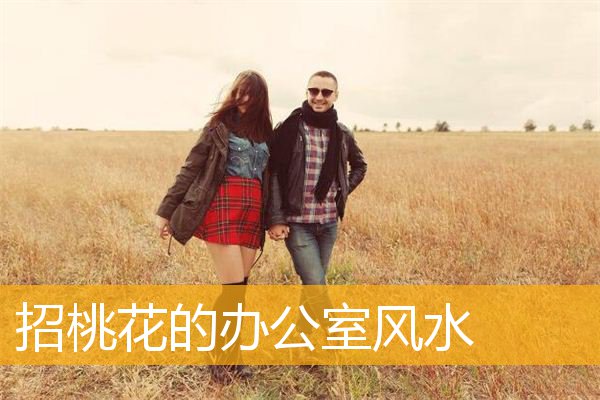 招桃花的办公室风水