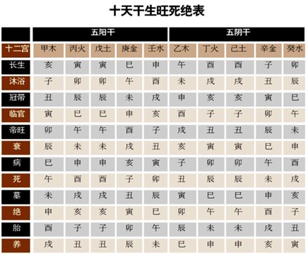 故而从十天干在地支十二宫的生旺死绝与佛学十二因缘的对应关系中