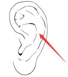 婚后出轨率极高的女子面相，桃花太旺！