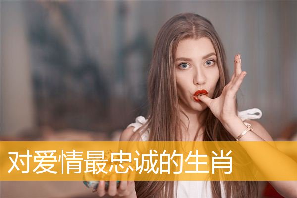 对爱情最忠诚的生肖