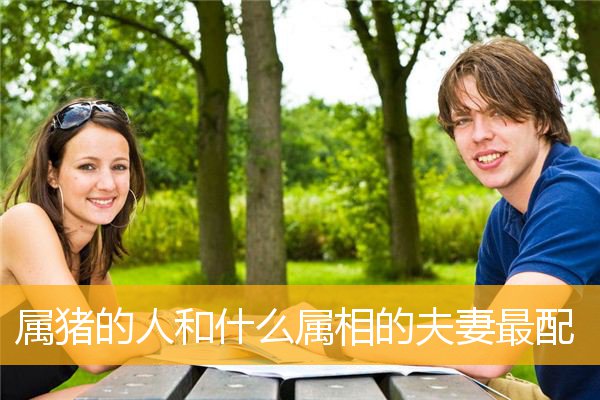 属猪的人和什么属相的夫妻最配