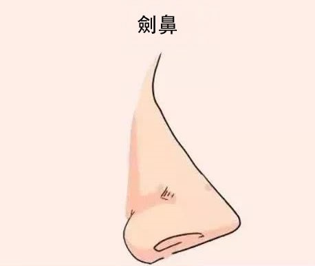 四种容易漏财的鼻相，要谨慎理财！